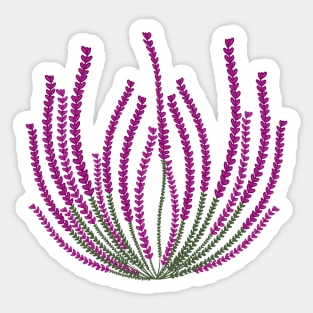 Heather flowers Sticker